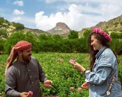 Image of الطائف