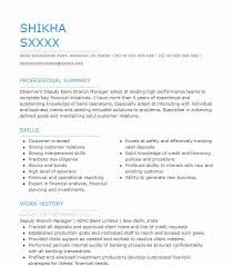 To be effective in the role, you need clear objectives to work towards, an ambitious senior management team to support you, and also the resources and the team members to be able to achieve your goals. Deputy Branch Manager Resume Example Company Name Ernakulam Kerala