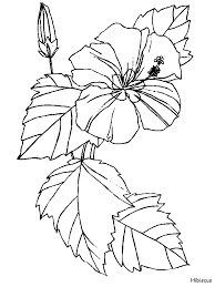 We will always give new source of image for you. Bluebonnet Coloring Page Coloring Home