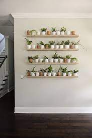 pin on my future housey pink petunia hanging basket