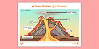 Printout label the iris, pupil, lens, cornea, optic nerve, retina, vitreous, eyelash, eyelid, eyebrow, and tear. Cross Section Of A Volcano With Labels Display Poster