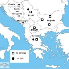 Visualization of stages of female body growth, development and ageing, getting old process. Peter Hristov Assoc Prof Phd Bulgarian Academy Of Sciences Sofia Bas Institute Of Biodiversity And Ecosystem Research