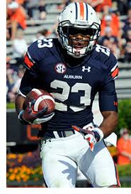 Image result for Deep Auburn 2013 200
