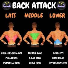 We did not find results for: 8 Best Muscle Building Back Exercises Are You Ready To Grow Gymguider Com Back Exercises Gym Workout Chart Exercise