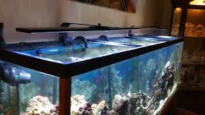 Updated My Lights To Current Orbit Ic Loop Reef2reef Saltwater And Reef Aquarium Forum