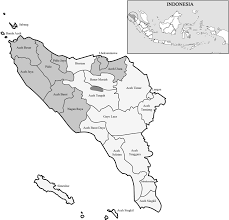 Menurut kab/kota provinsi kalimantan tengah. Allelic Diversity Of Merozoite Surface Protein Genes Msp1 And Msp2 And Clinical Manifestations Of Plasmodium Falciparum Malaria Cases In Aceh Indonesia Malaria Journal Full Text