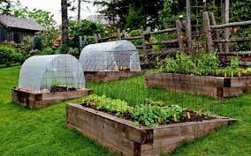 gewachshauswindschutz erhoht die holzerne gartensteigung der betten betten erhoht gartensteigung gewachshauswindsch garten gewachshaus garten bauerngarten