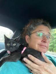 Does anyone have any kittens? Not tiny babies...maybe 3 or 4 months old?  Lmk!