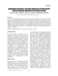 La péritonite résulte d'une inflammation du péritoine, la membrane recouvrant les organes de l'abdomen. Diaphragme Vesiculaire