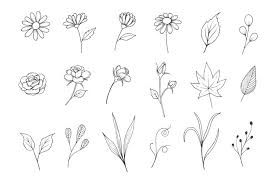 Floral and flower vector element design botanical doodle hand drawn style. Flower Sketch Collection With Line Art Style 524827 Decorations Design Bundles
