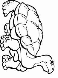 There are over 2,000 different species of snakes alive today. Pin On Snake Coloring Pages Kids