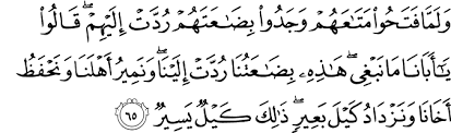 Quran Surah Yusuf Arabic English Translation By M Habib Shakir
