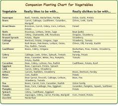 Companion Planting Chart For Vegetables Growing Food