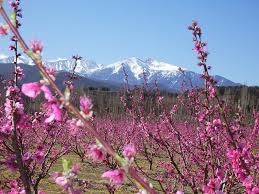 Epingle Sur Canigou