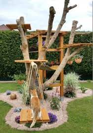 You Will Love These Screened Cat Porches And We Have Rounded Up The Best Ideas Plus A Video Tutorial For You Pet Friendly Backyard Outdoor Cat Tree Cat Garden