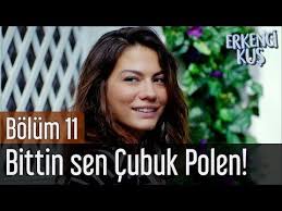 Pin Su Erkenci Kus