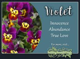 Dreaming about being surrounded by flowers. Violet Meaning Symbolism Flower Meanings Symbolism