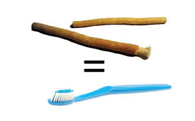 Menggunakan siwak terbagi dua, siwak gosok gigi satunya pakai pasta, yang satunya tidak pakai pasta, maka yang pakai pasta itu. Sikat Gigi Apakah Termasuk Siwak Konsultasi Agama Dan Tanya Jawab Pendidikan Islam
