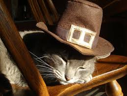 Image result for cats celebrating thanksgiving