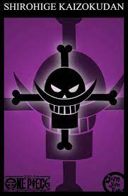 Pin On One Piece