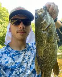 It's a cold day here in Nashville—crystal blue sunny skies, but a little  chilly ( in the 30's) My two nuggets are taking advantage of their heated  beds and sleeping the day