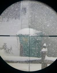 The patented rzr zero stop ensures accurate returns to sight in zero after dialing temporary elevation correction. Rifle Scopes Vortex Pst Gen Ii Page 10 Sniper S Hide Forum