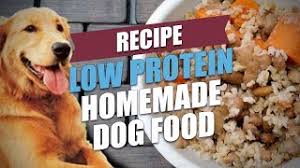 If you have a dog who suffers from allergies, skin problems or gastrointestinal issues. Low Protein Homemade Dog Food Recipe Cheap And Healthy Youtube