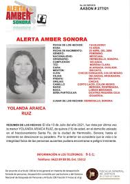La alerta amber por tres menores desaparecidos fue activada esta mañana en guanajuato. Soledad Durazo S Tweet Se Activa Alerta Amber Sonora Trendsmap