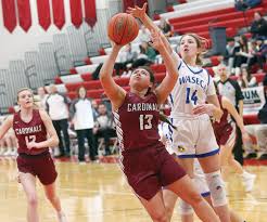 Wadd guides Waseca basketball over Fairmont