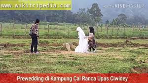 Maybe you would like to learn more about one of these? Ranca Upas Ciwidey Harga Tiket Masuk Camping Penginapan 2020