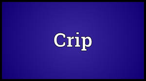 Offensive slang applied as a disparaging term for you or pet which partially disabled or not able to use a limb or limbs.; Crip Meaning Youtube