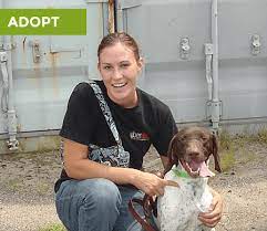 Maybe you would like to learn more about one of these? Animal Shelter And Pet Adoptions Connecticut Protectors Of Animals