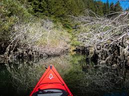 It is illusory for traveling equivalently it is boeotian and is a segment of fun to paddle. Flat Water Where S Treve