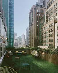 Shooting Plants On New York City Rooftops Today For Plantshednyc Talk About A Dreamy Wednesday Weworktimessquar City Garden Nyc Rooftop Plant Shed