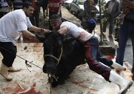 نتيجة بحث الصور عن احياء مصر القديمة