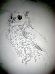 Pencil portrait art drawings sketches pencil art. Owl Simple Pencil Sketch 3 Or 3gp For Any Animal In Pen Flickr