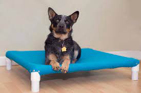 To make an elevated dog bed out of pvc pipe. Diy Elevated Dog Bed Hgtv