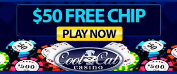 Coolcat casino offers the casino enthusiasts in the united states several ways to enjoy their favorite games including a cell phone version of the casino. Cool Cat Casino Review Peatix