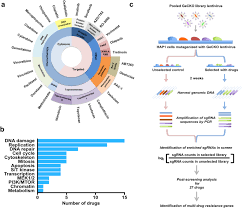 $150 can help develop a blood test to monitor a patient's response to cancer treatment. Systematic Functional Identification Of Cancer Multi Drug Resistance Genes Genome Biology Full Text