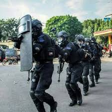 Bulgarian Tihina Special Forces Bulgarian Sf Pinterest Militar