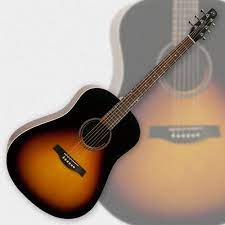 remenyi house of music has some of the best electric acoustic guitars in canada they have guitars from major brands like breed guitar acoustic guitar acoustic