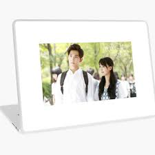 Zheng Shuang Laptop Skins Redbubble