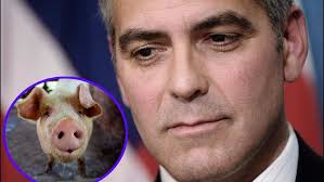 Darwin, George Clooney y la gastronomía española