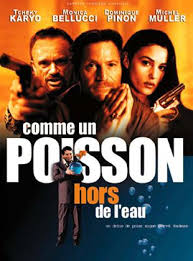Chacun sa route — un indien dans la ville. Comme Un Poisson Hors De L Eau Film 1998 Allocine