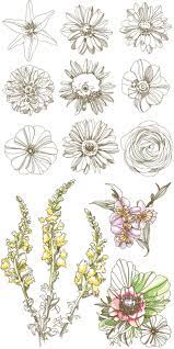 4 261 просмотр 4,2 тыс. Flowers Vector Ai Eps Free Download Flower Drawing Vintage Flower Tattoo Flower Art