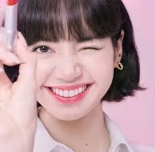 Lisa Wink's Instagram, Twitter & Facebook