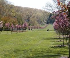 The botanical garden makes a stunning backdrop for all types of occasions including corporate gatherings, weddings and other celebrations. Skylands New Jersey Botanical Garden Mommypoppins Things To Do In New Jersey With Kids
