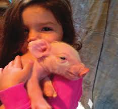 Everybody loves Robin