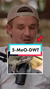 Understanding 5 Meo DMT: A Guide to the Divine Experience