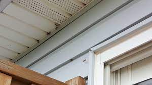 We did not find results for: Yellow Jackets Nest Soffit Youtube